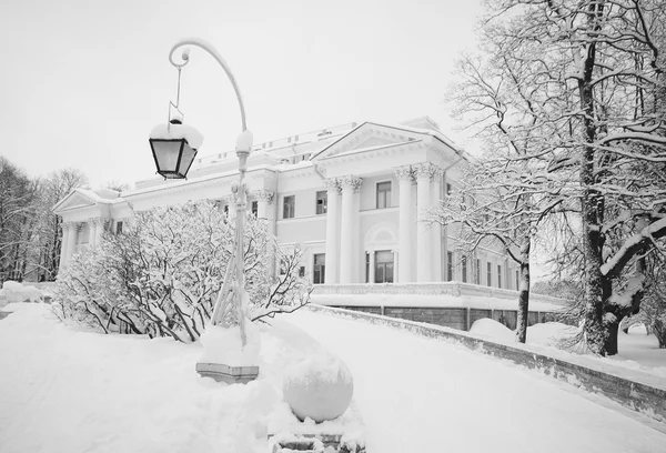 雪のおとぎ話の宮殿 ストック画像
